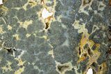 Colorful Polished Marcasite Agate Slab - Indonesia #334894-1